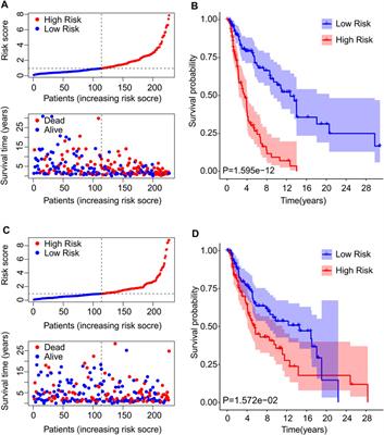 A novel risk model based on cuproptosis-related lncRNAs predicted prognosis and indicated immune microenvironment landscape of patients with cutaneous melanoma